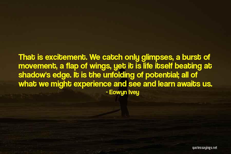 Eowyn Ivey Quotes 320468 Eowyn Ivey Quotes 320468