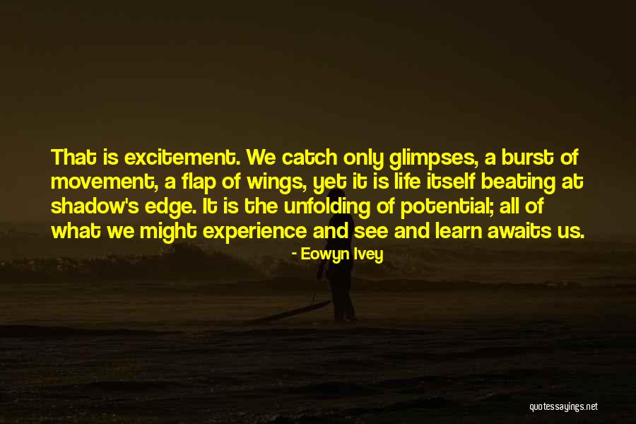 Eowyn Ivey Quotes 320468