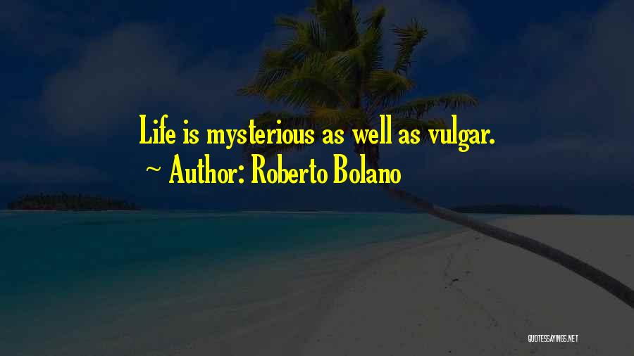 Ephemeral Quotes By Roberto Bolano