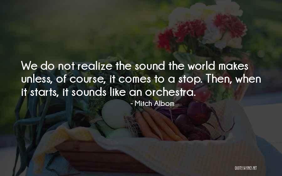 Ephemerals Of Virginia Quotes By Mitch Albom Ephemerals Of Virginia Quotes By Mitch Albom