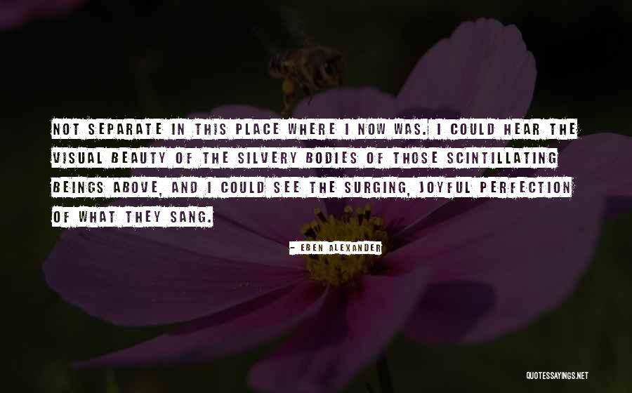 Ephemere Hazebrouck Quotes By Eben Alexander Ephemere Hazebrouck Quotes By Eben Alexander