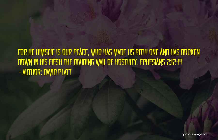 Ephesians Peace Quotes By David Platt