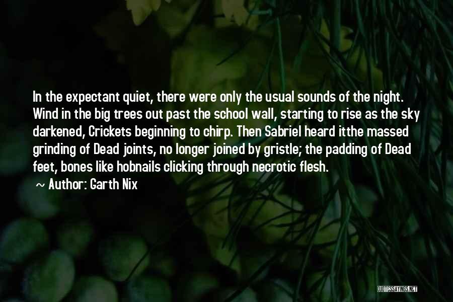 Epic Night Quotes By Garth Nix
