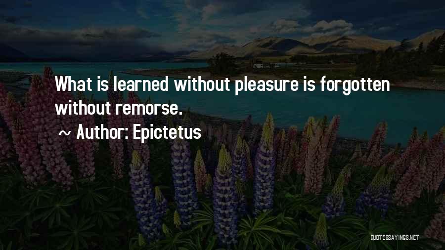 Epictetus Quotes 268959