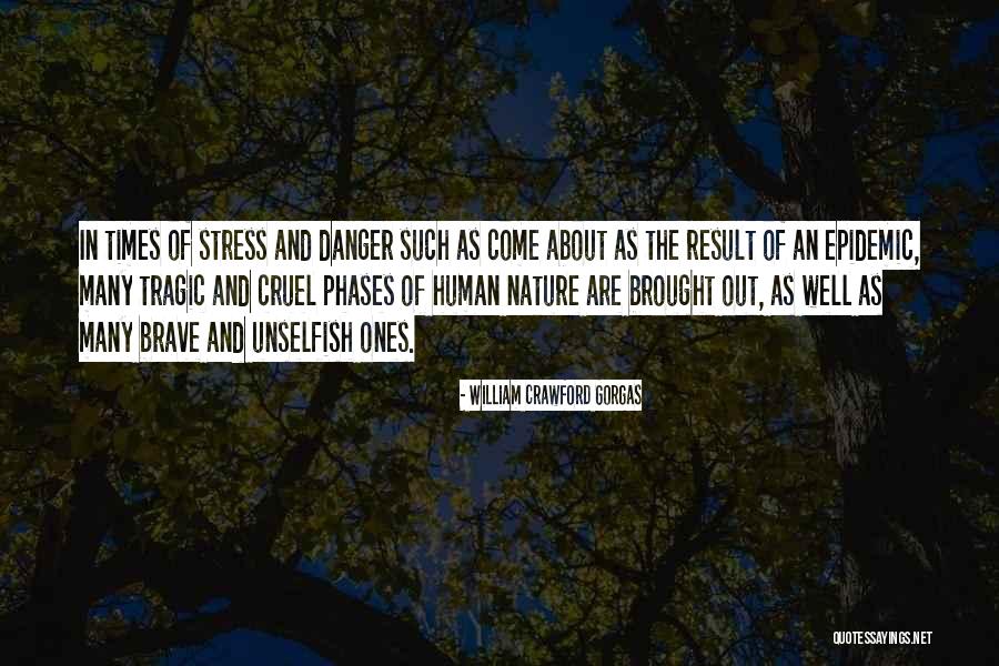 Epidemic Health Quotes By William Crawford Gorgas Epidemic Health Quotes By William Crawford Gorgas