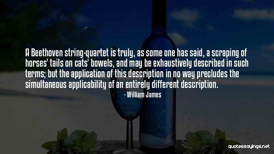 Epidemiological Model Quotes By William James Epidemiological Model Quotes By William James