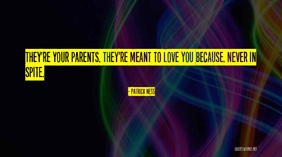 Epilepsy And Memory Quotes By Patrick Ness Epilepsy And Memory Quotes By Patrick Ness