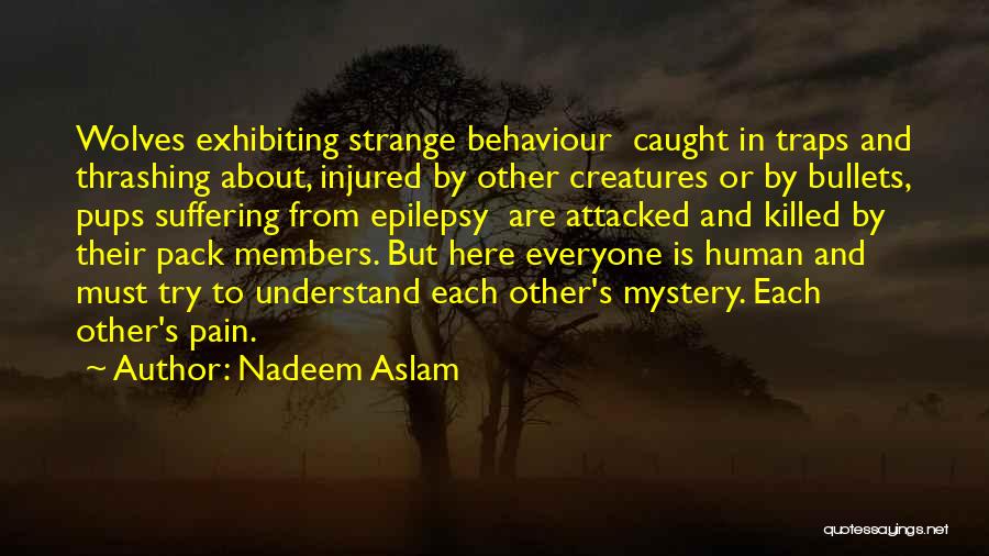 Epilepsy Quotes By Nadeem Aslam