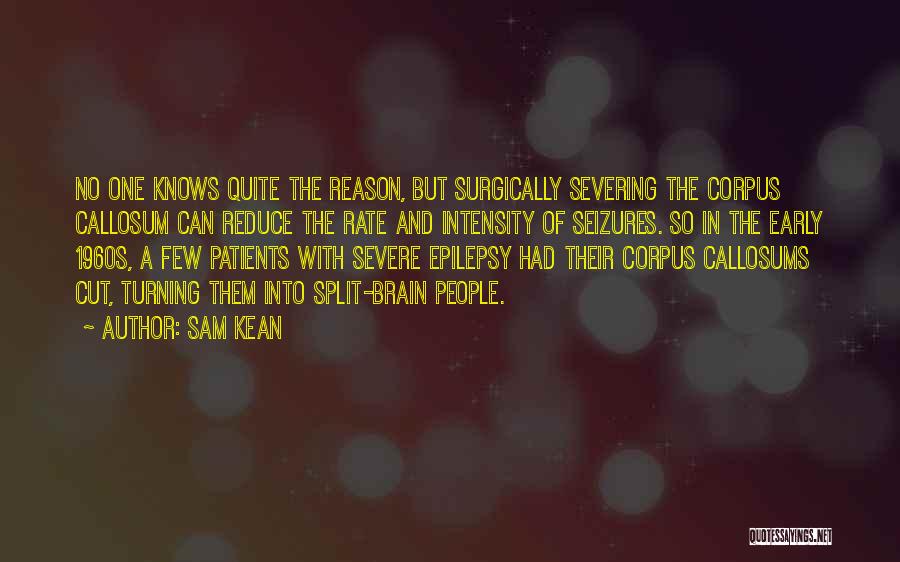 Epilepsy Quotes By Sam Kean