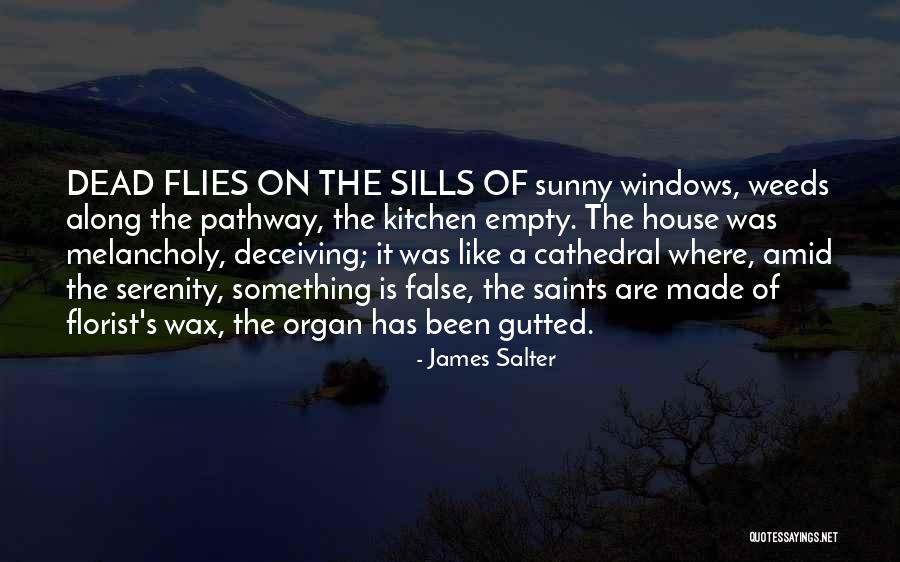 Epistemically Transformative Quotes By James Salter Epistemically Transformative Quotes By James Salter