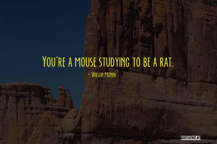 Epitaph Road Quotes By Wilson Mizner