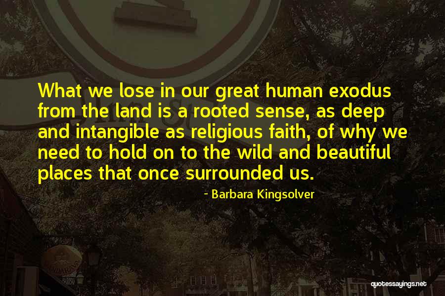Epithets In The Odyssey Book 5 With Quotes By Barbara Kingsolver Epithets In The Odyssey Book 5 With Quotes By Barbara Kingsolver