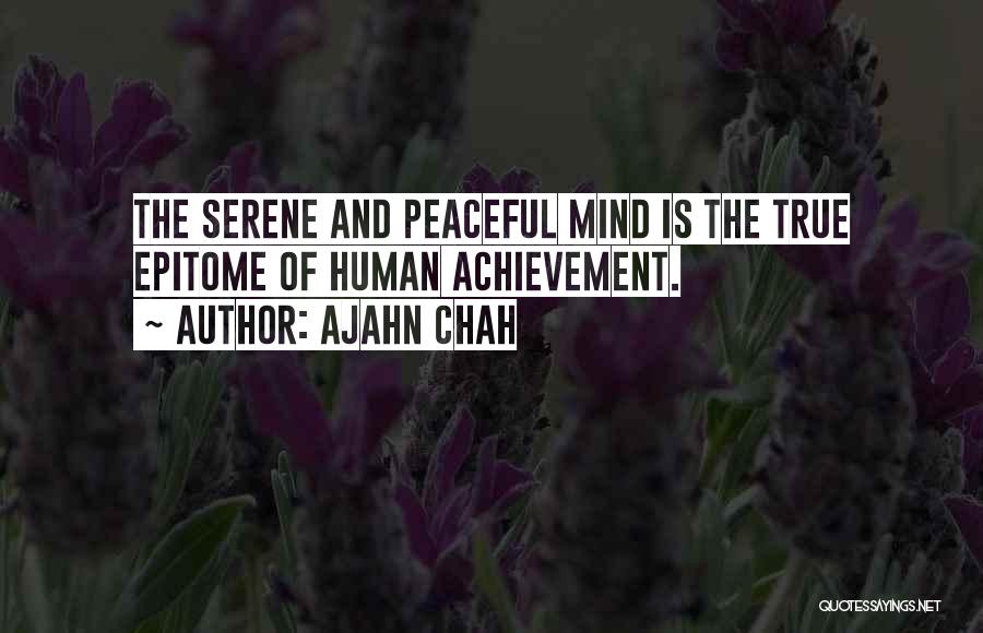 Epitome Quotes By Ajahn Chah