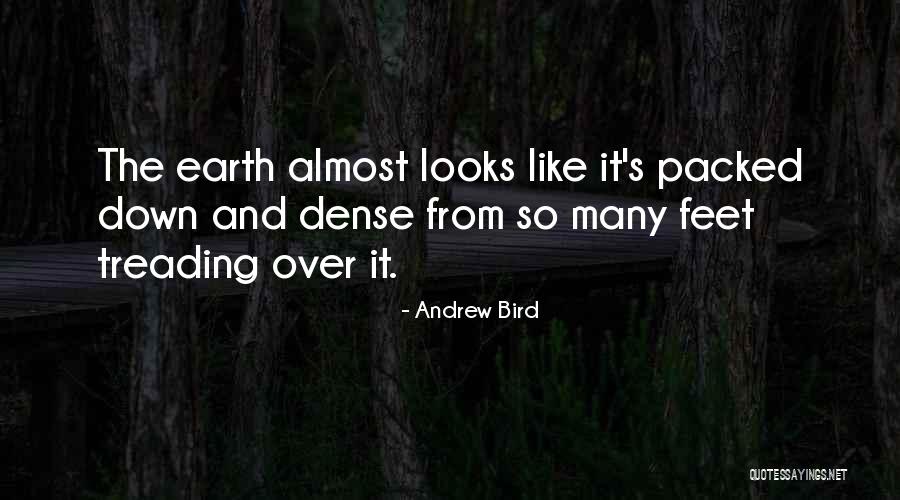 Epoxy Floor Coating Quotes By Andrew Bird Epoxy Floor Coating Quotes By Andrew Bird
