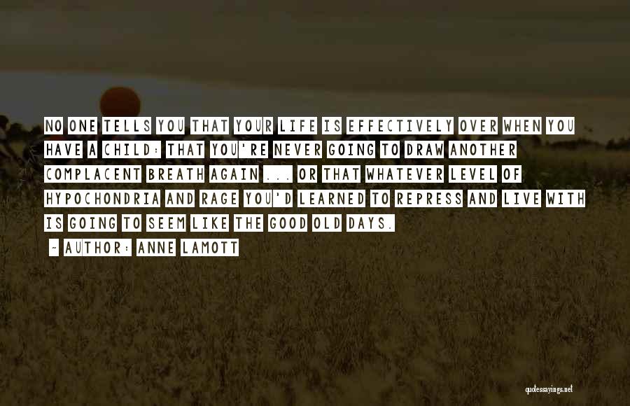 Eppstein Weihnacht Quotes By Anne Lamott