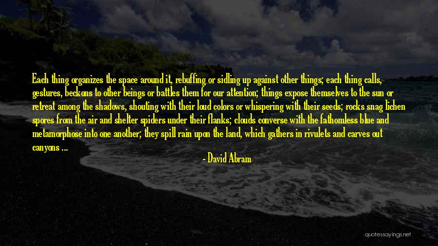 Epsilon Quotes By David Abram Epsilon Quotes By David Abram