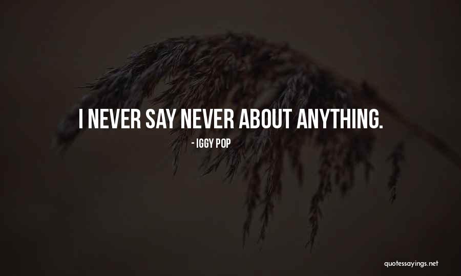 Epsilon Quotes By Iggy Pop Epsilon Quotes By Iggy Pop
