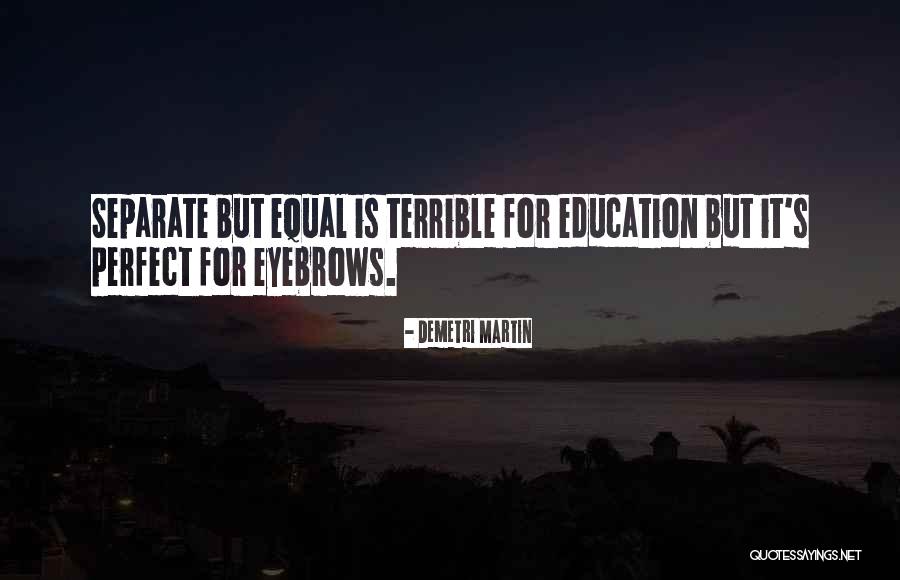 Equal Education For All Quotes By Demetri Martin