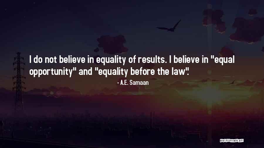 Equal Opportunity Quotes By A.E. Samaan