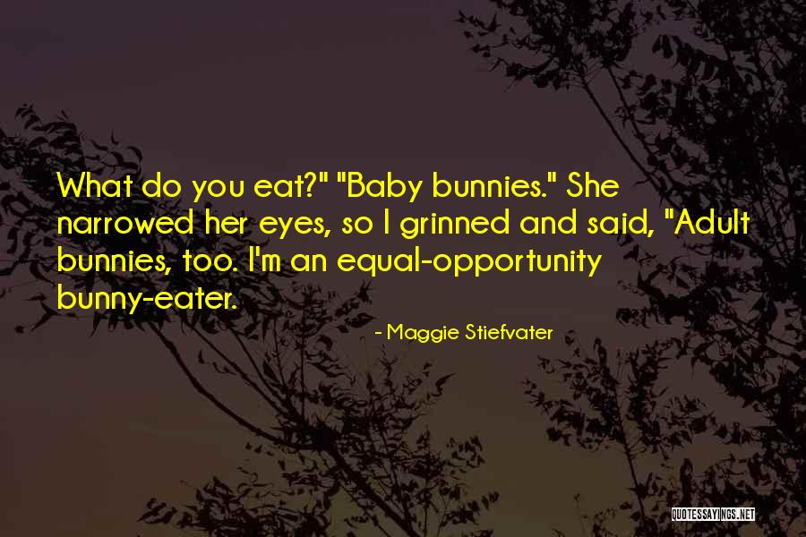 Equal Opportunity Quotes By Maggie Stiefvater