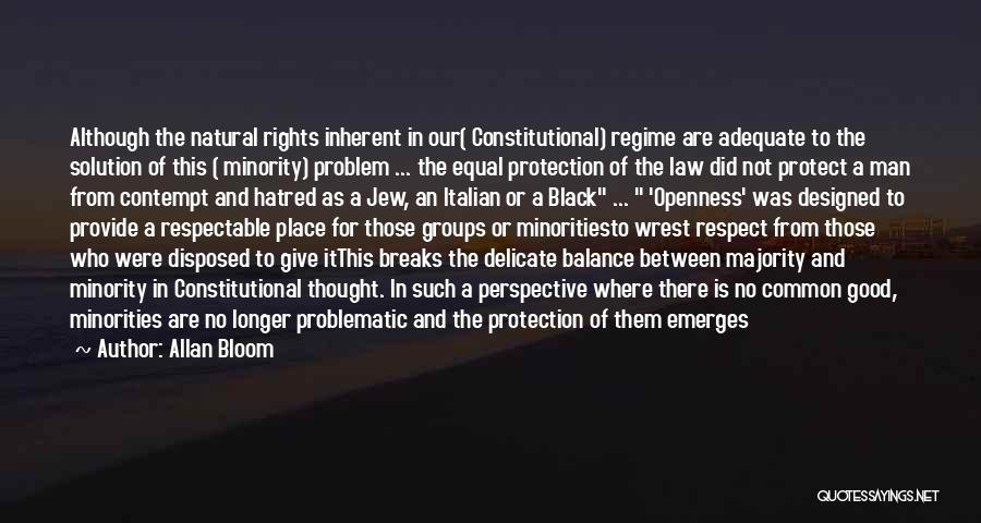 Equal Protection Quotes By Allan Bloom