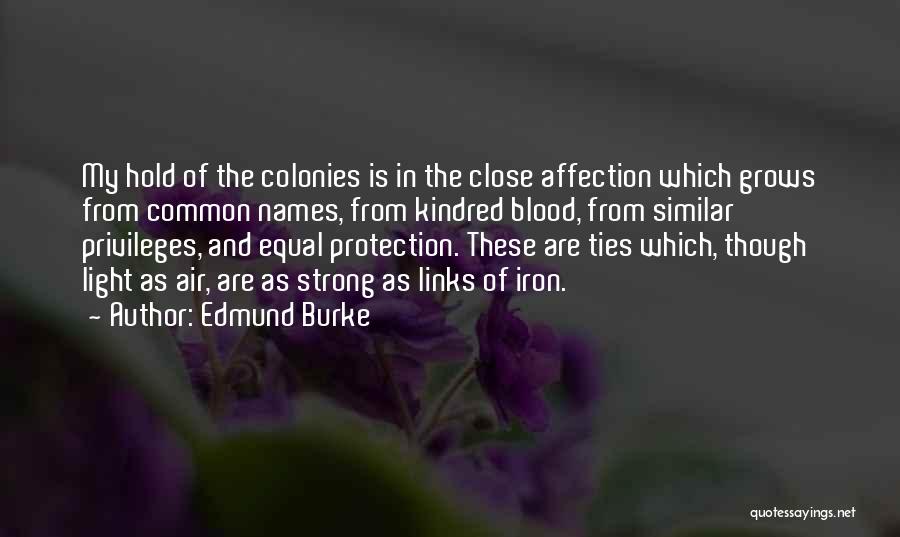 Equal Protection Quotes By Edmund Burke