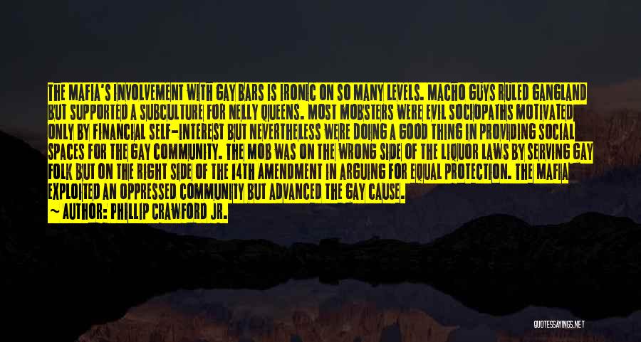 Equal Protection Quotes By Phillip Crawford Jr.