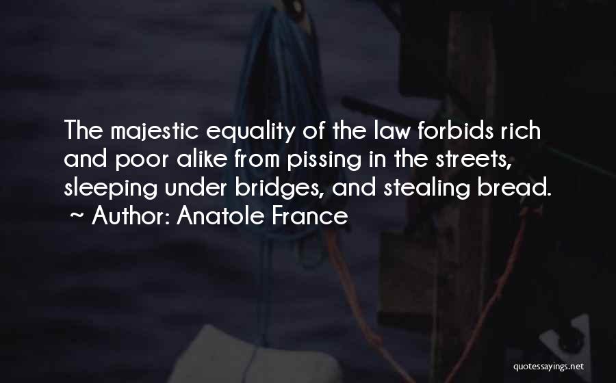 Equality Of Rich And Poor Quotes By Anatole France