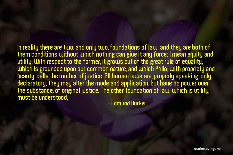 Equality Vs Equity Quotes By Edmund Burke Equality Vs Equity Quotes By Edmund Burke