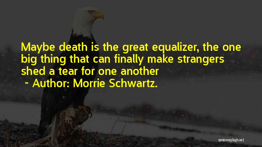 Equalizer Quotes By Morrie Schwartz.