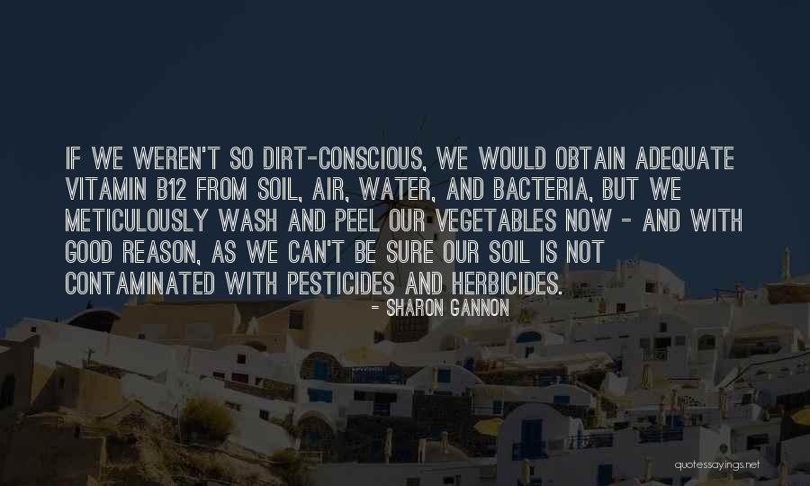 Equatorial Penang Quotes By Sharon Gannon Equatorial Penang Quotes By Sharon Gannon