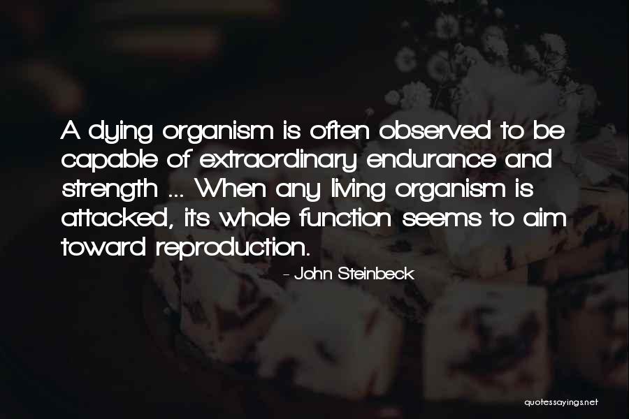 Equihua Thrift Quotes By John Steinbeck Equihua Thrift Quotes By John Steinbeck