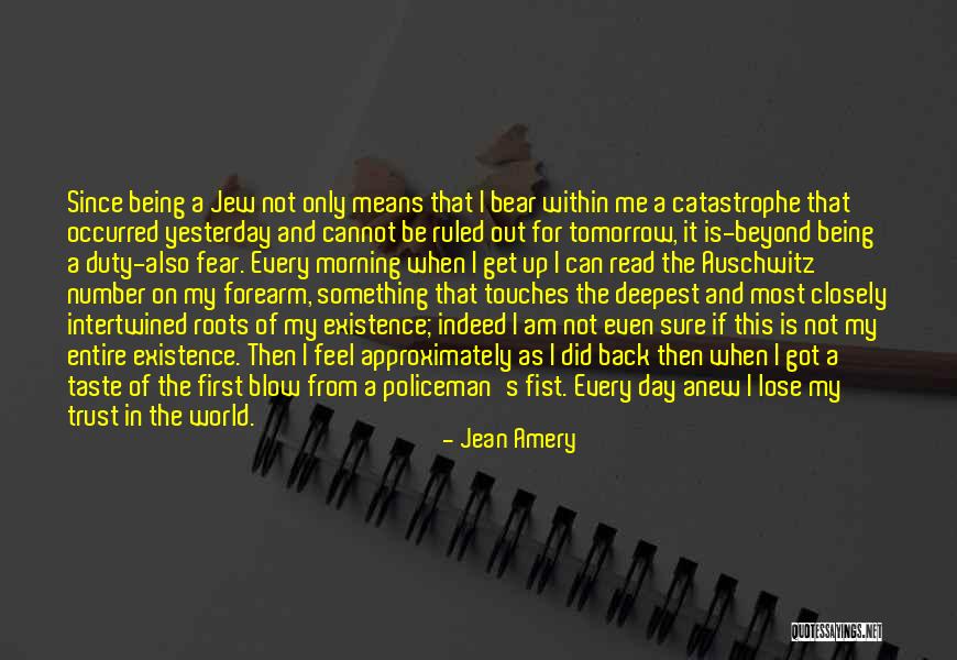 Equiparables Quotes By Jean Amery Equiparables Quotes By Jean Amery