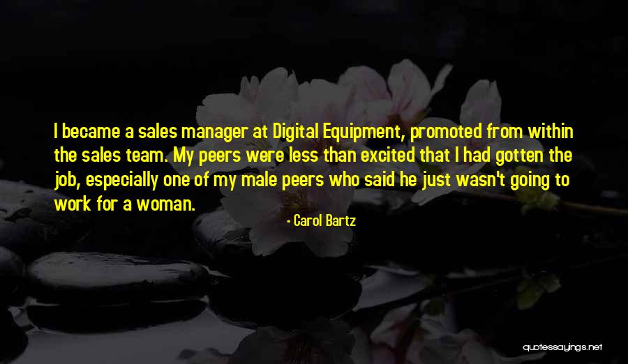 Equipment Quotes By Carol Bartz