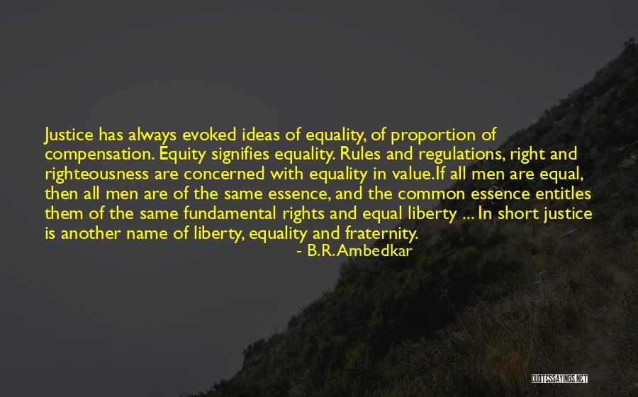 Equity Vs Equality Quotes By B.R. Ambedkar Equity Vs Equality Quotes By B.R. Ambedkar