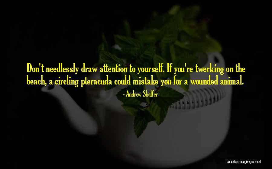 Equivocada Quotes By Andrew Shaffer Equivocada Quotes By Andrew Shaffer