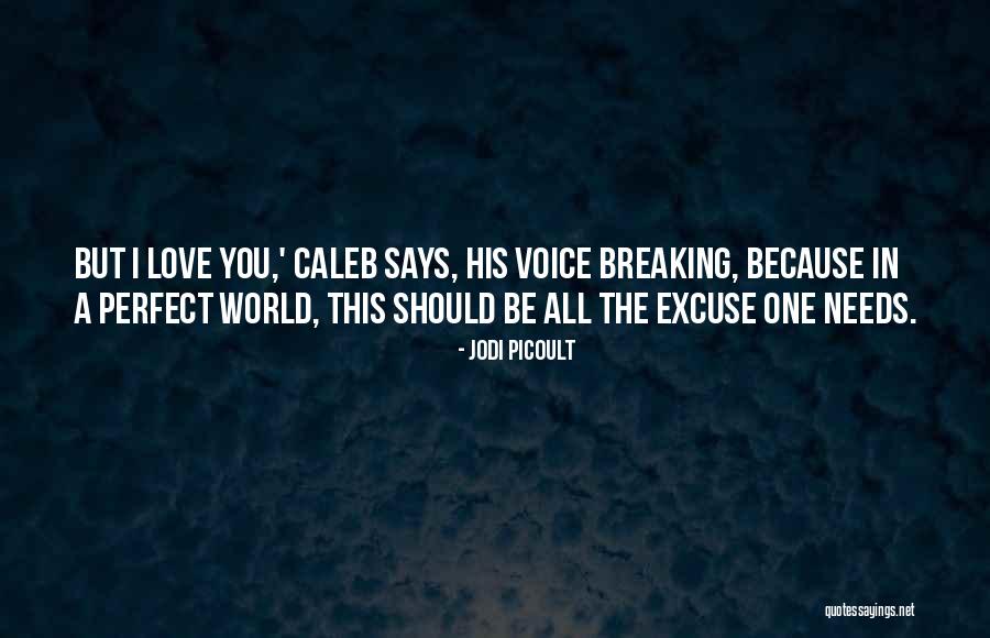 Eraklis Diamataris Quotes By Jodi Picoult Eraklis Diamataris Quotes By Jodi Picoult