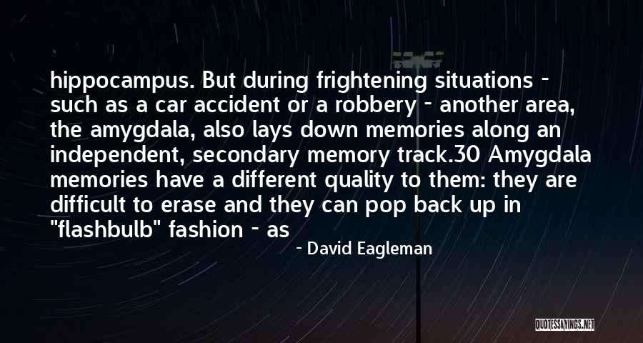 Erase All Memories Quotes By David Eagleman