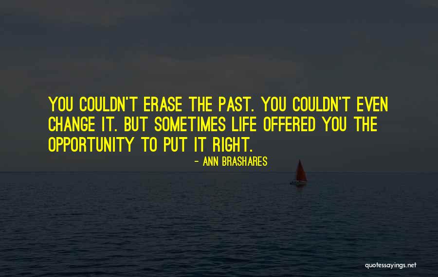Erase The Past Quotes By Ann Brashares Erase The Past Quotes By Ann Brashares