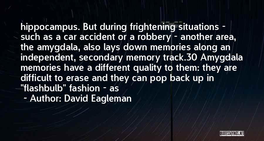 Erase You From My Memory Quotes By David Eagleman