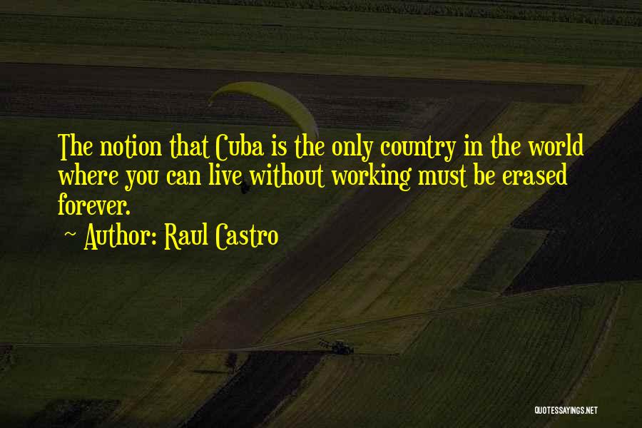 Erased Quotes By Raul Castro