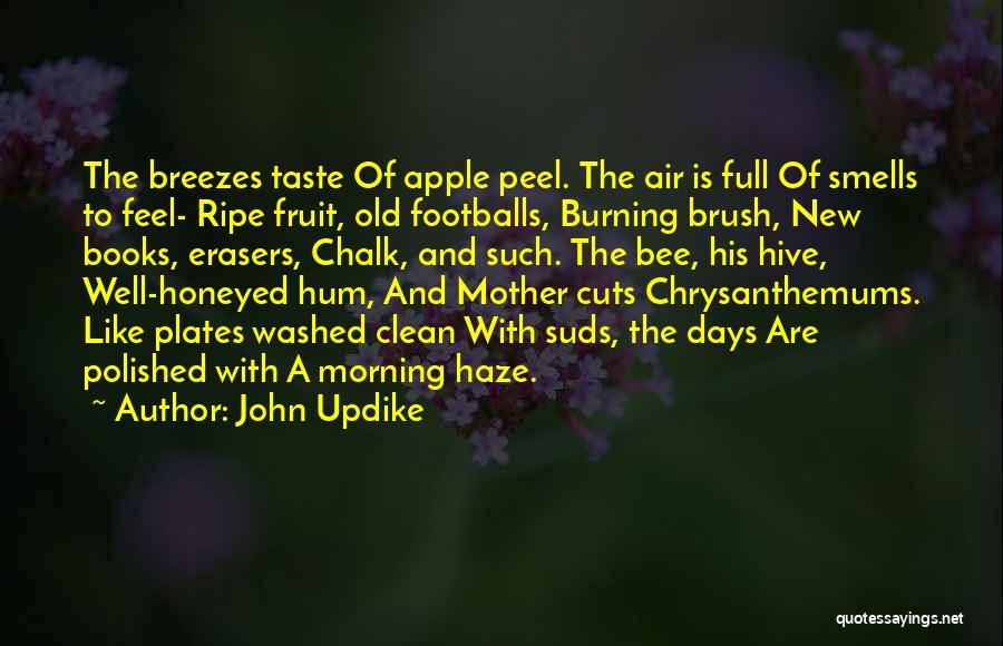 Erasers Quotes By John Updike