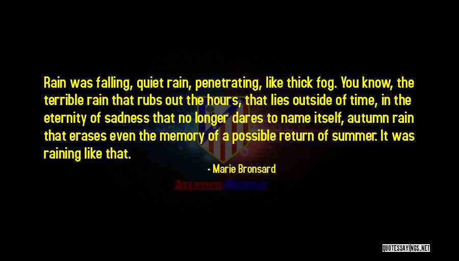 Erases Quotes By Marie Bronsard Erases Quotes By Marie Bronsard