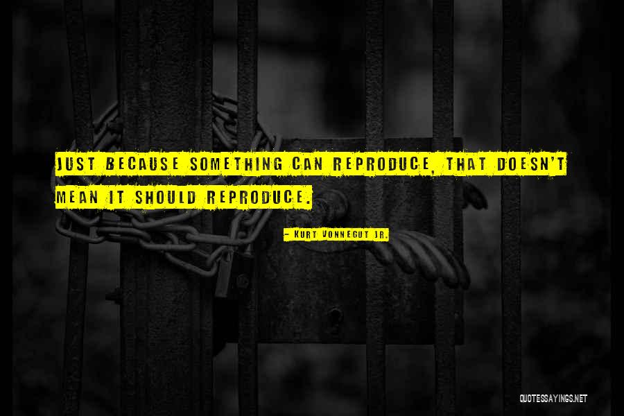 Erdal Cindoruk Quotes By Kurt Vonnegut Jr.