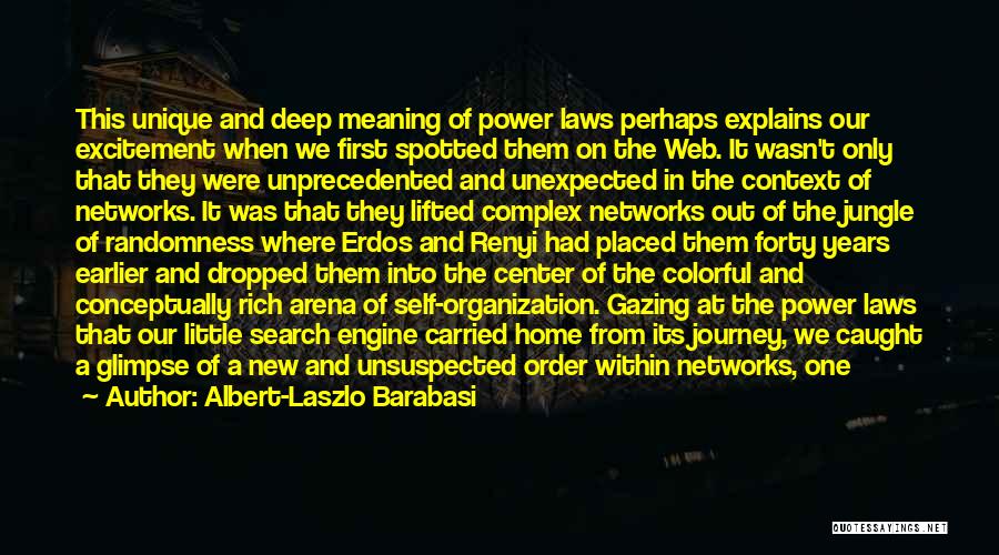 Erdos Quotes By Albert-Laszlo Barabasi