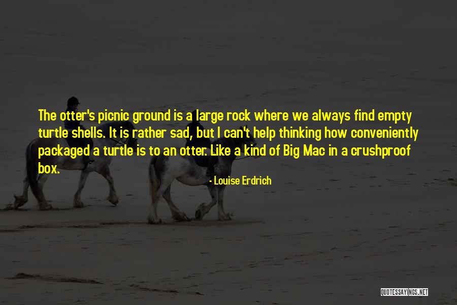 Erdrich Quotes By Louise Erdrich Erdrich Quotes By Louise Erdrich