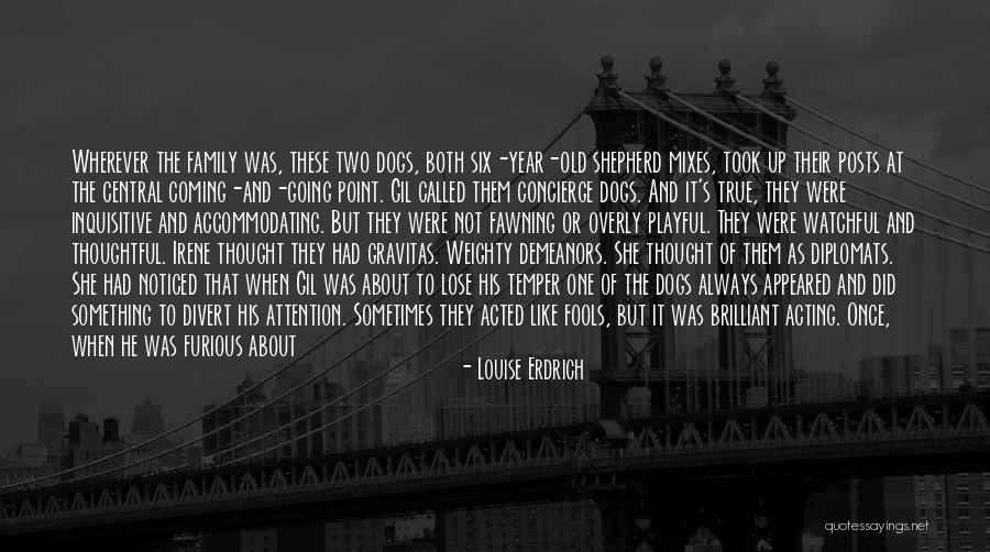 Erdrich Quotes By Louise Erdrich