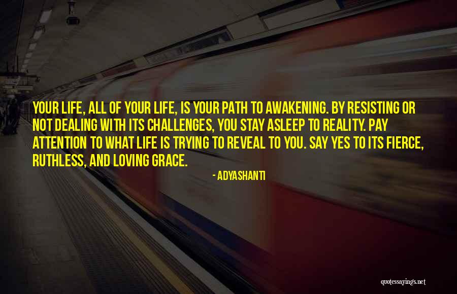 Erdtsieck Financial Corporation Quotes By Adyashanti Erdtsieck Financial Corporation Quotes By Adyashanti