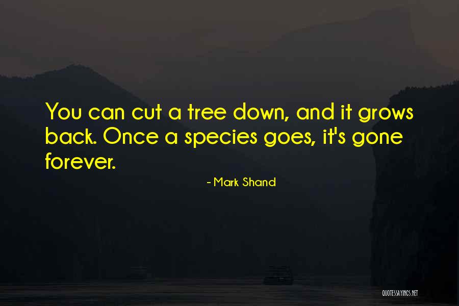Erendira Movie Quotes By Mark Shand Erendira Movie Quotes By Mark Shand