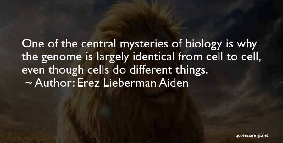 Erez Lieberman Aiden Quotes 1526927